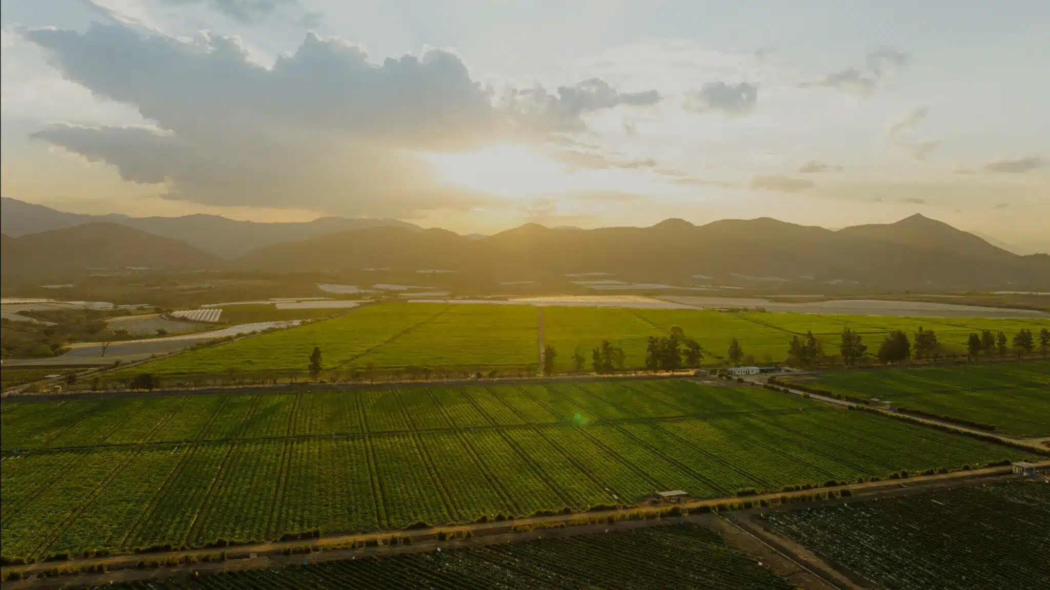 Innovación, Biotecnología y Medio Ambiente